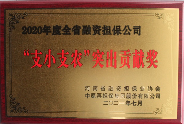 支小支农突出贡献奖5.jpg
